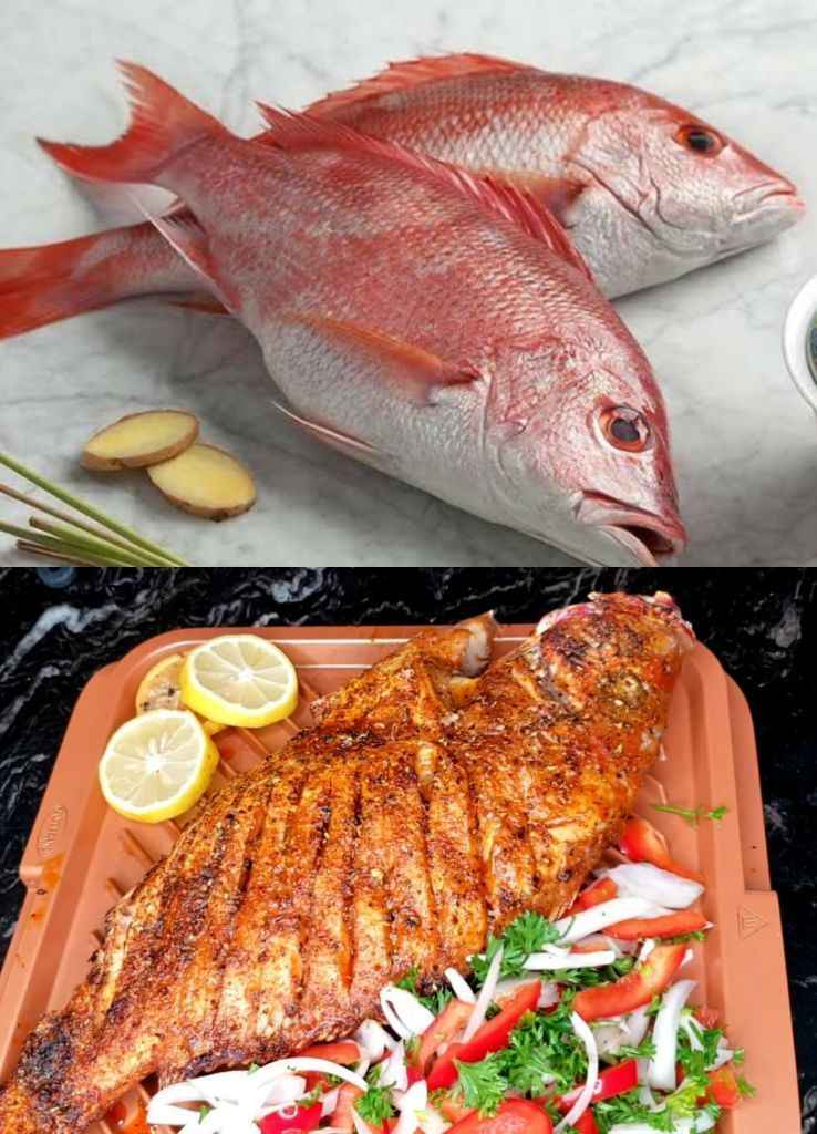 Whole oven baked red snapper fish 