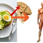 Health benefits of Eating eggs